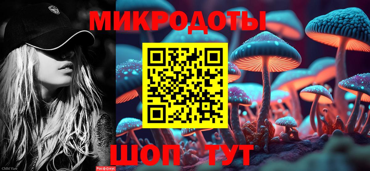 Псилоцибиновые грибы прущие грибы Ртищево