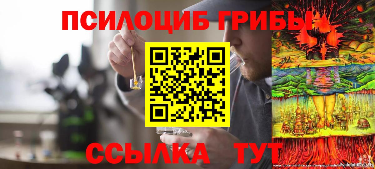 Псилоцибиновые грибы мицелий  цена   Ртищево  Вход с VPN  Псилоцибиновые грибы MAGIC MUSHROOMS 